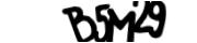 captcha delivery section small