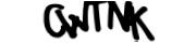 captcha delivery section small