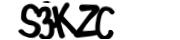 captcha delivery section small