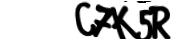 captcha delivery section small