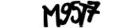 captcha delivery section small